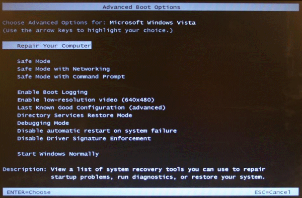 advanced boot options menu